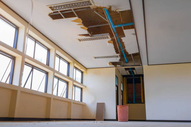 Best Local water damage restoration  in Stayton, OR