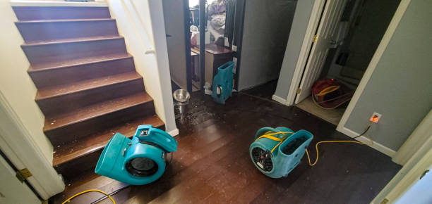 Best Water damage cleanup near me  in Stayton, OR
