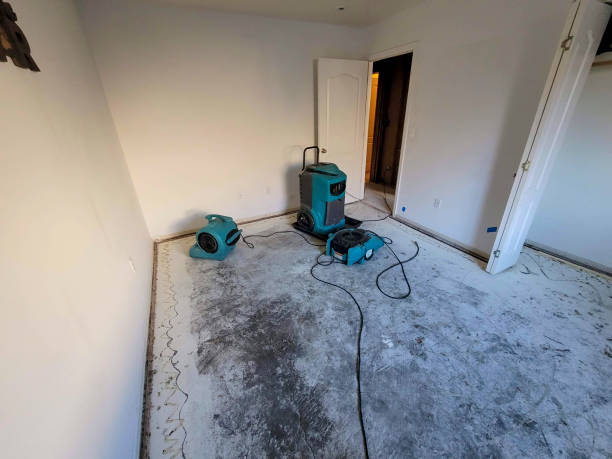 Best 24-hour water damage restoration  in Stayton, OR