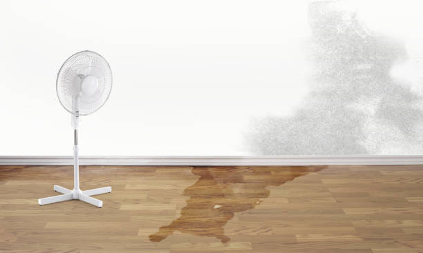  Stayton, OR Water damage restoration Pros