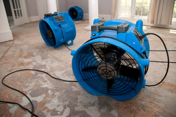 Best Carpet water damage restoration  in Stayton, OR