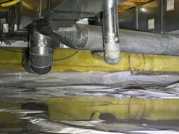 Best Mold removal after water damage  in Stayton, OR