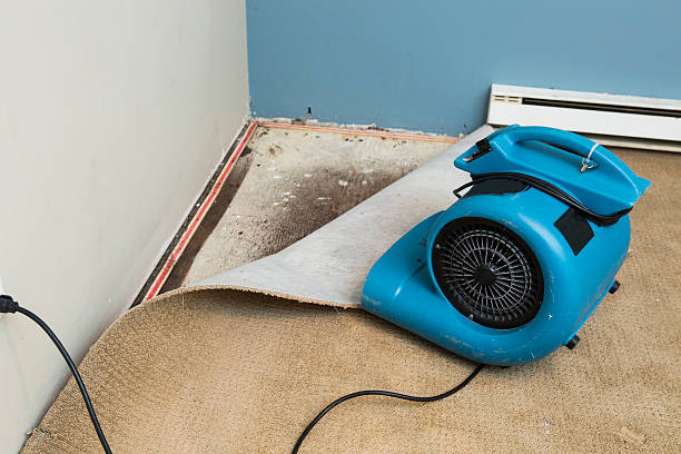 Best Water damage cleanup near me  in Stayton, OR